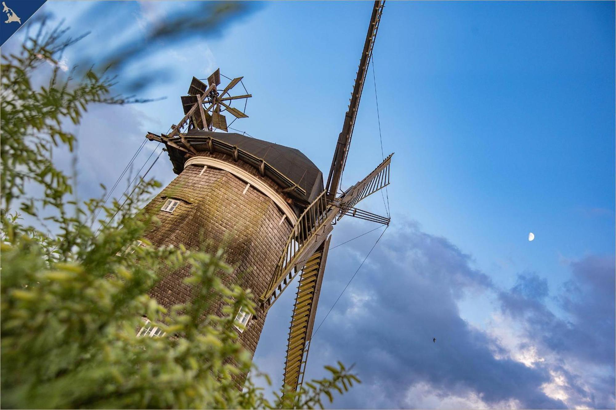 Studio Heringsdorf  Buitenkant foto